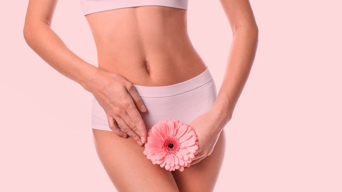 Microbioma Vaginal: O que é, Importância e Como Fazer o Exame