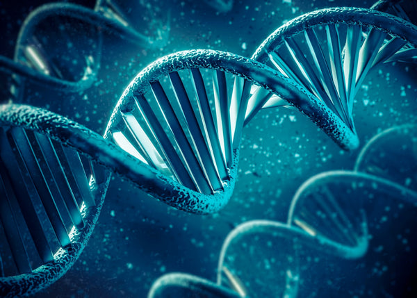 O que é a Síndrome do Câncer Hereditário?