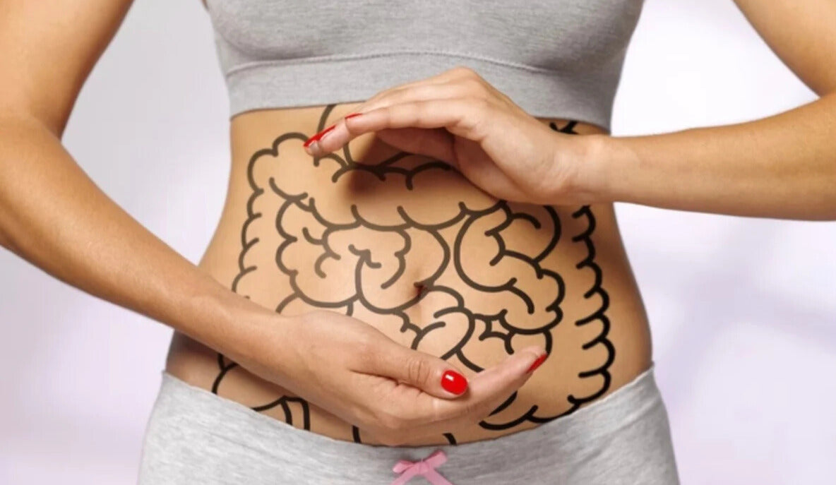 A Saúde do Intestino e o Microbioma Intestinal