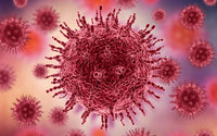 HPV: tenha cuidado com a doença