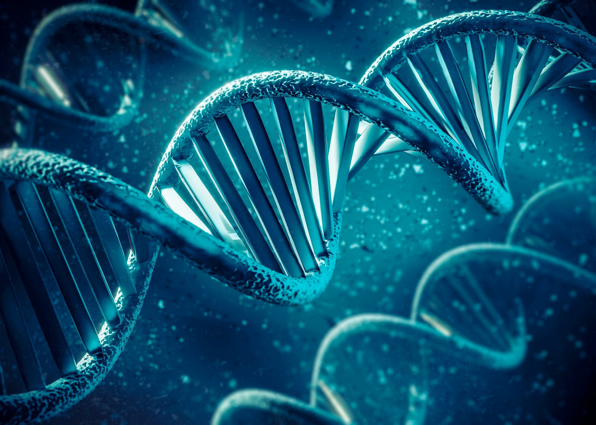 O que é a Síndrome do Câncer Hereditário?