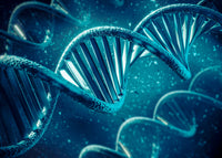 O que é a Síndrome do Câncer Hereditário?