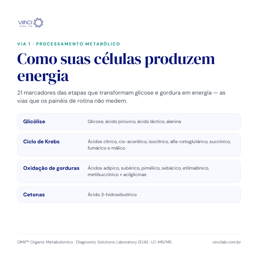 OMX® — Metabolômica Funcional
