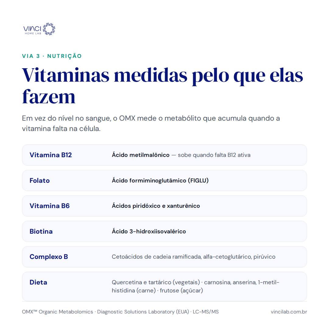 OMX® — Metabolômica Funcional