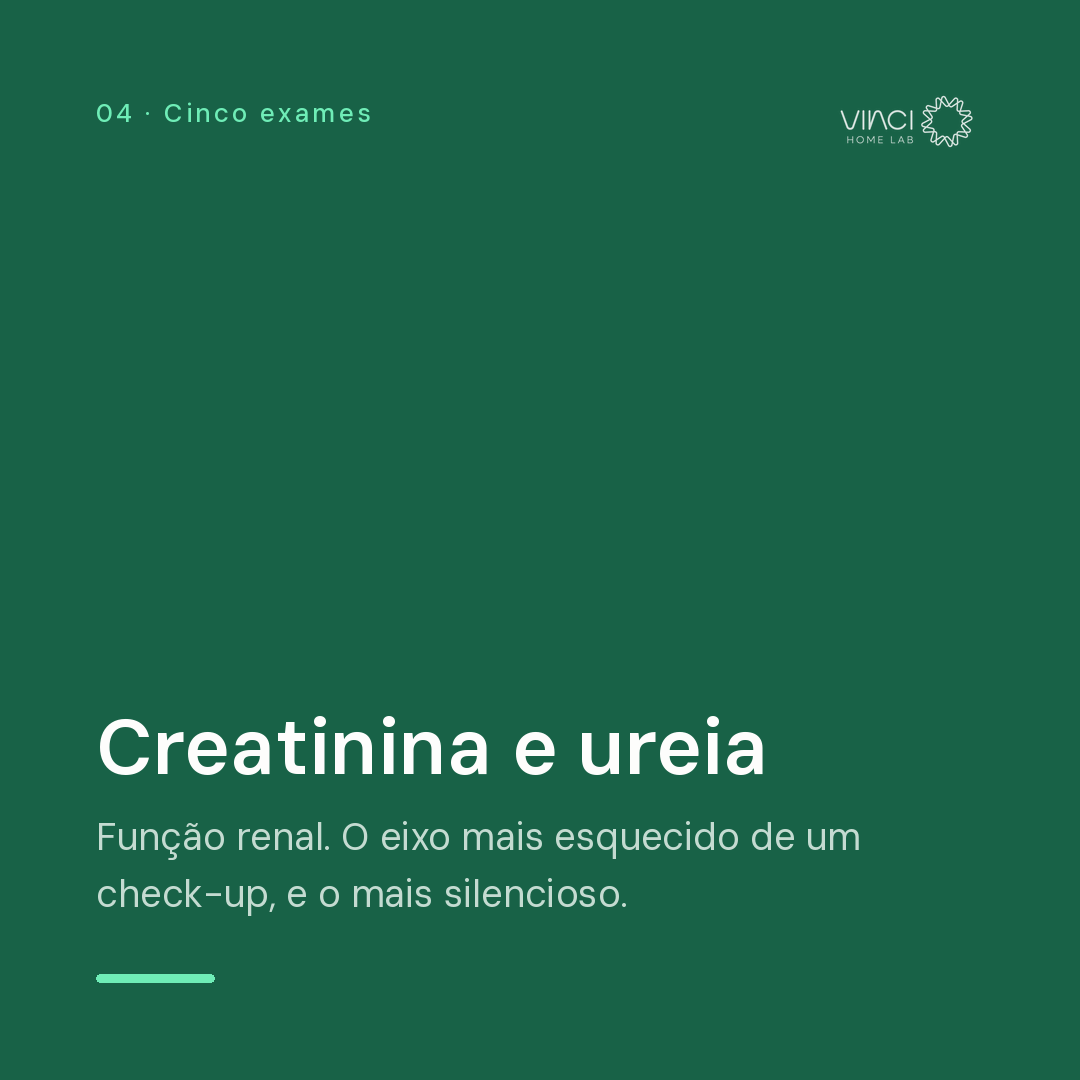 Creatinina e ureia: avaliação da função renal