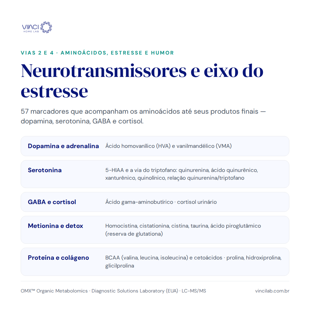 OMX® — Metabolômica Funcional