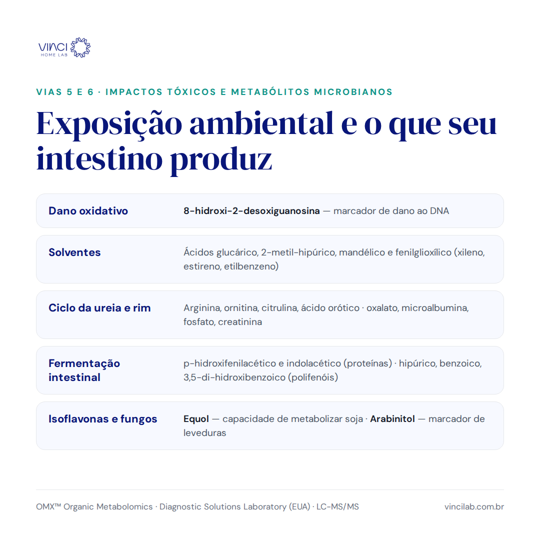 OMX® — Metabolômica Funcional