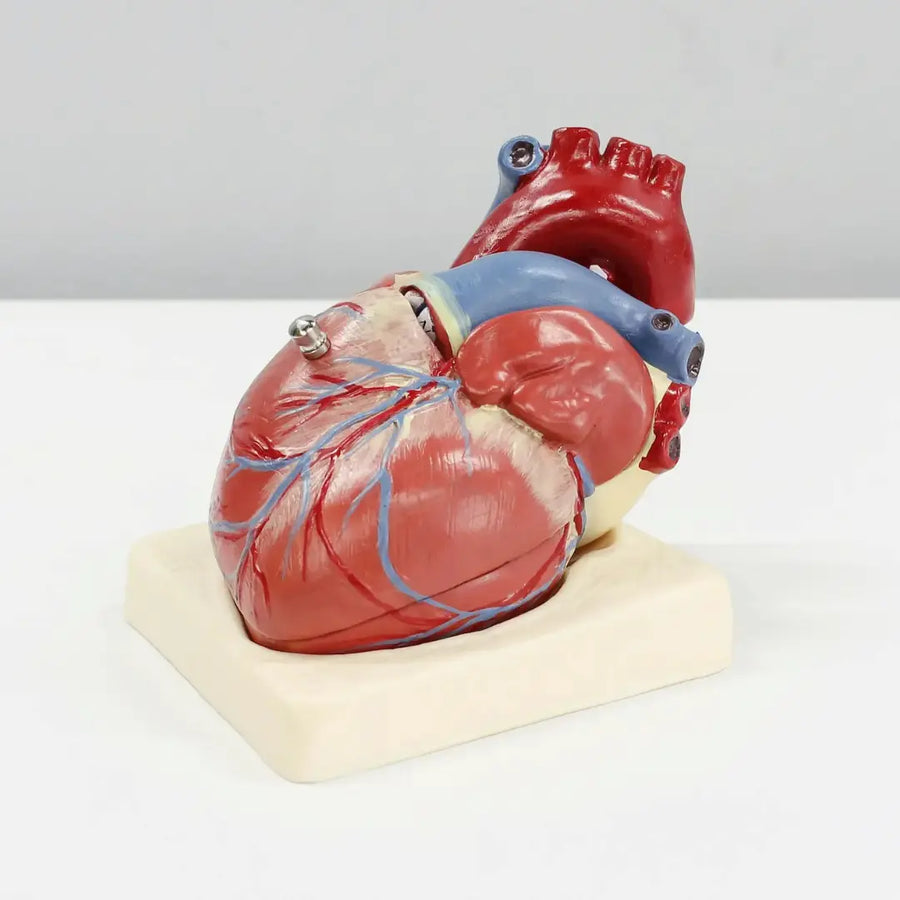 Painel Cardiovascular Avançado com Inflamação | Cardio IQ