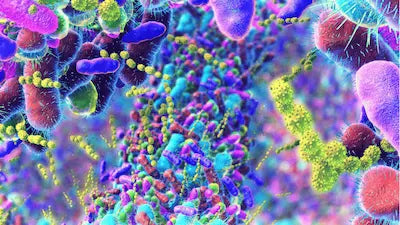 Microbioma