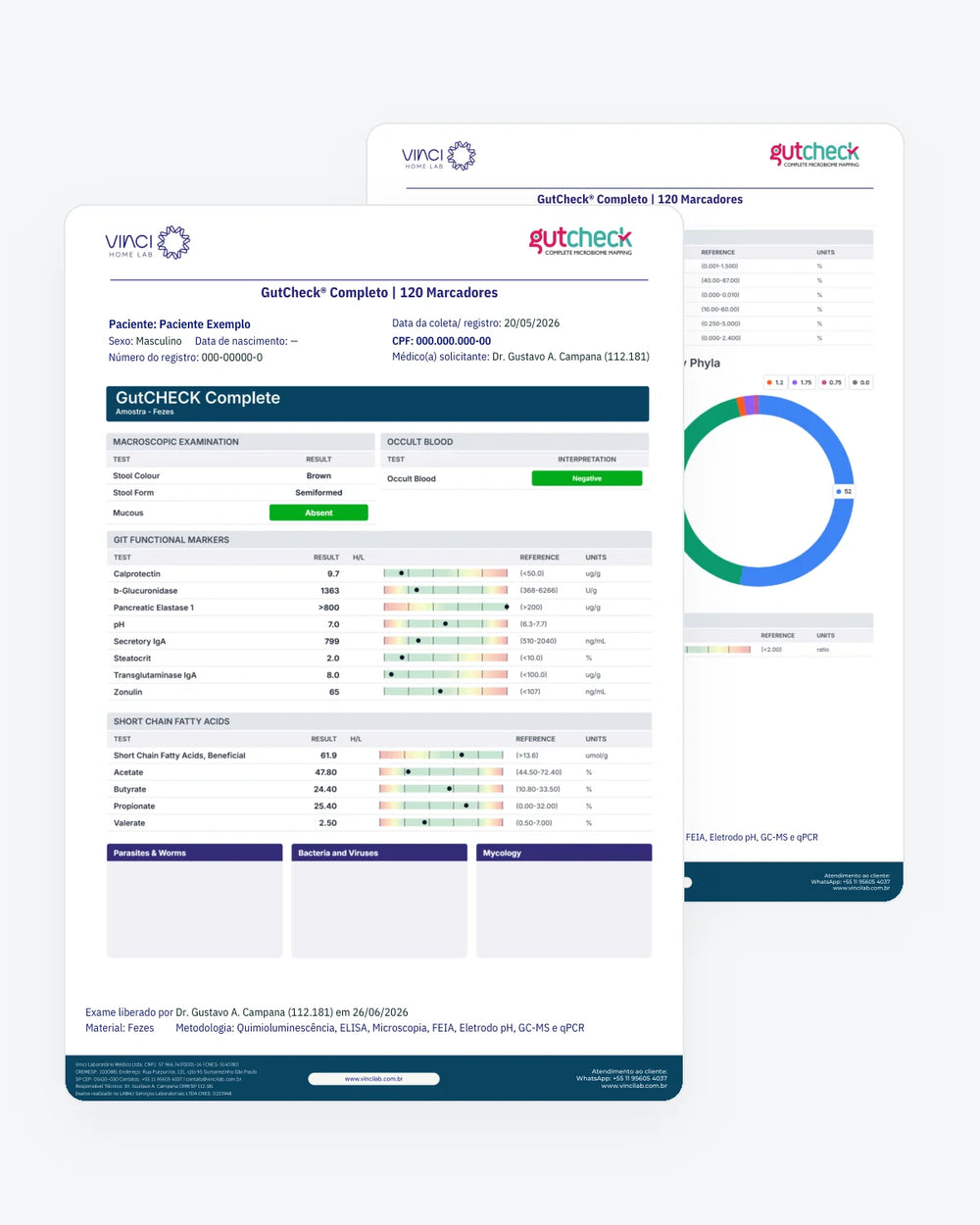 Laudo de exemplo — GutCheck® Completo | 120 Marcadores