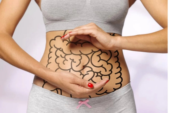 Microbioma + funcionais