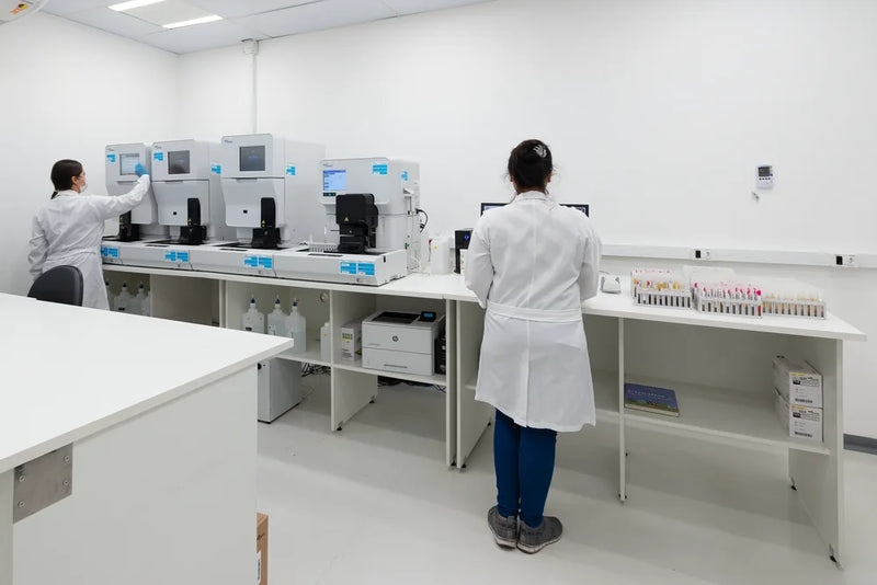 Equipe técnica